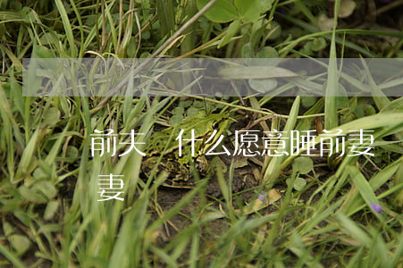 前夫為什么愿意睡前妻(為什么前夫喜歡睡前妻)
