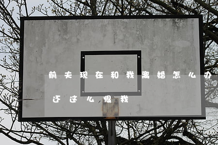 前夫现在和我离婚怎么办(离婚了,为什么前夫还这么恨我)