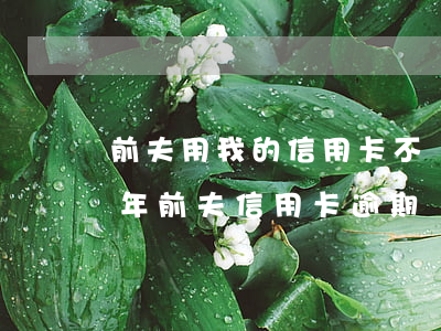 前夫用我的信用卡不還逾期了怎么辦（離婚8年前夫信用卡逾期）