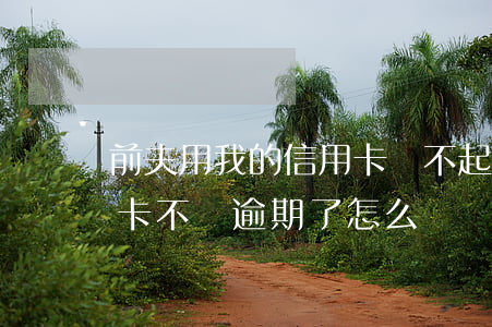 前夫用我的信用卡還不起-前夫用我的信用卡不還逾期了怎么辦