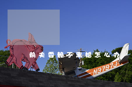 前夫耍赖不离婚怎么办