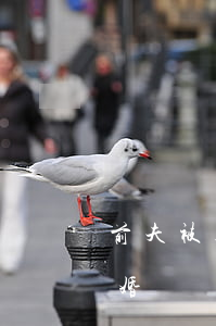 前夫被起訴欠錢沒離婚(前夫被起訴欠錢沒離婚)