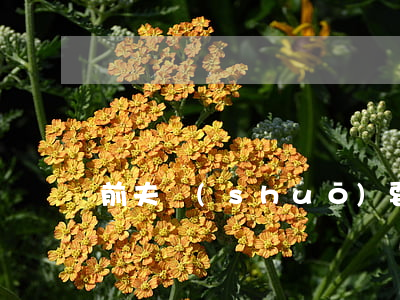 前夫說(shuō)要離婚怎么辦
