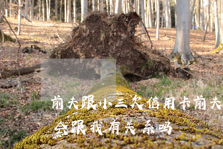 前夫跟小三欠信用卡(前夫的信用卡拖欠不还会跟我有关系吗)