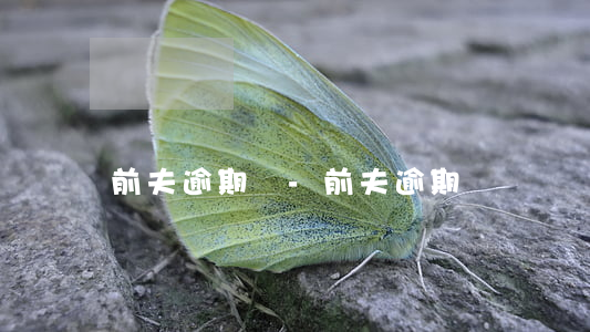 前夫逾期愛-前夫逾期愛