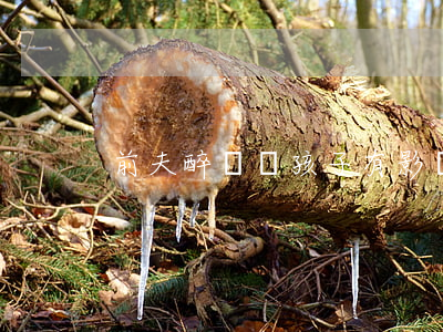 前夫醉駕對孩子有影響嗎(醉駕后影響孩子嗎)