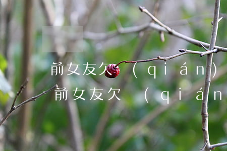 前女友欠錢(qián)無(wú)力償還(前女友欠錢(qián)無(wú)力償還我怎么辦)
