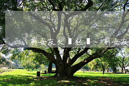 前女友欠錢起訴-前女友欠錢怎么要回來