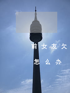 前女友欠钱无力偿还(前女友欠钱无力偿还我怎么办)