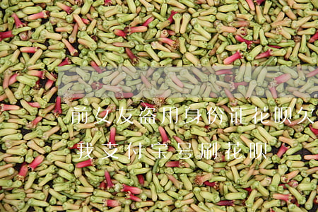 前女友盗用身份证花呗欠款逾期-前女友盗我支付宝号刷花呗