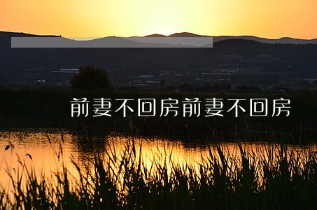 前妻不回房(前妻不回房)