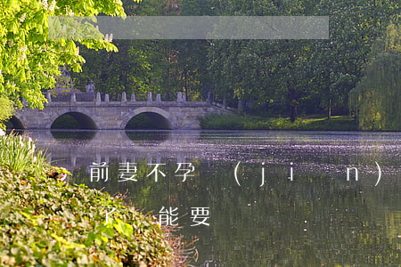 前妻不孕堅(jiān)持離婚(前妻又離婚了還能要嗎)