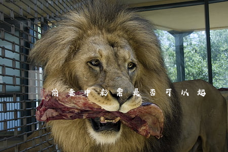 前妻中彩票是否可以起訴分割