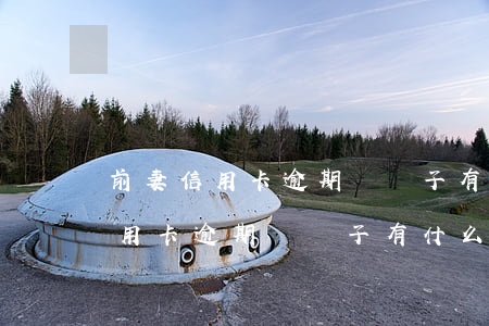 前妻信用卡逾期對孫子有什么影響-前妻信用卡逾期對孫子有什么影響嗎