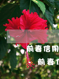 前妻信用卡逾期會(huì)影響到孩子嗎-前妻信用卡逾期會(huì)影響到孩子嗎知乎