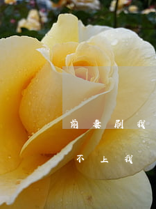 前妻刷我信用卡不還怎么辦(丈夫刷信用卡還不上,我該怎么辦)