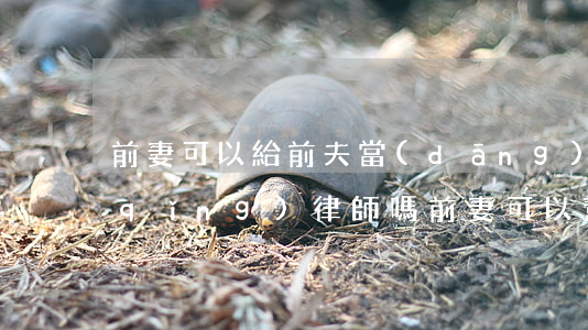 前妻可以給前夫當(dāng)委托人請(qǐng)律師嗎(前妻可以幫前夫請(qǐng)律師嗎)