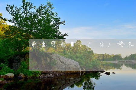 前妻同意復(fù)婚又離婚