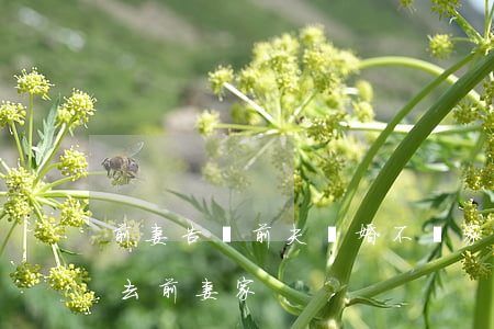 前妻告訴前夫離婚不離家(離婚了男的還經常去前妻家)