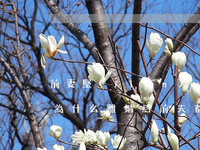 前妻堅(jiān)決分手前夫不愿意離婚(為什么離婚后前夫都不聯(lián)系前妻了)