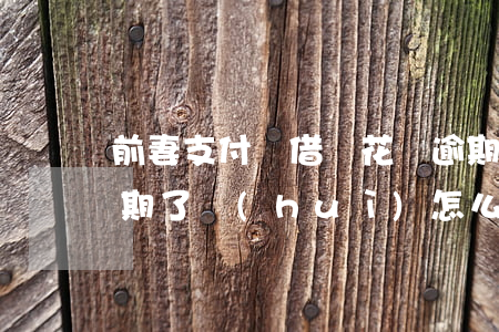 前妻支付寶借唄花唄逾期(支付寶花唄借唄逾期了會(huì)怎么樣嗎)