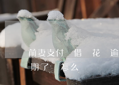 前妻支付寶借唄花唄逾期(支付寶花唄借唄逾期了會怎么樣嗎)