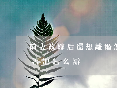 前妻改嫁后還想離婚怎么辦(前妻嫁人了還想著她怎么辦)