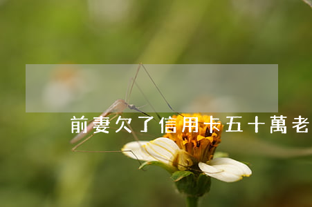 前妻欠了信用卡五十萬(老婆欠信用卡50萬)