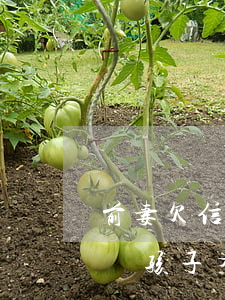 前妻欠信用卡不還的后果(前夫欠信用卡不還對孩子有什么影響?)
