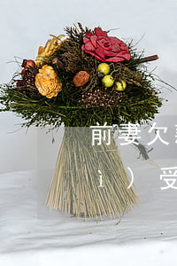 前妻欠款不還前夫會(huì)不會(huì)受連累（前妻欠銀行錢不還跟孩子說）