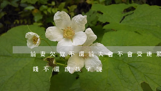 前妻欠款不還前夫會不會受連累（前妻欠銀行錢不還跟孩子說）