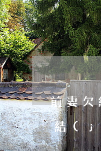 前妻欠網(wǎng)貸.會(huì)凍結(jié)我的賬戶嗎-前妻欠網(wǎng)貸.會(huì)凍結(jié)我的賬戶嗎怎么辦