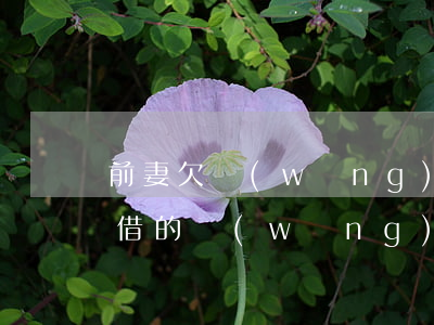 前妻欠網(wǎng)貸 留前夫家地址(前夫借的網(wǎng)貸,會不會找到前妻這里)