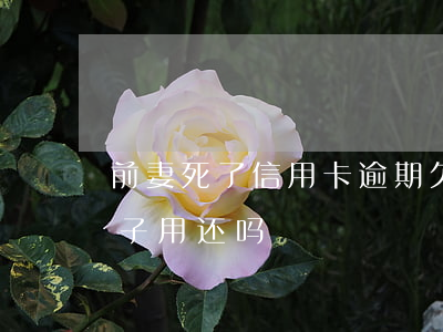 前妻死了信用卡逾期 欠信用卡持卡人死了妻子用还吗