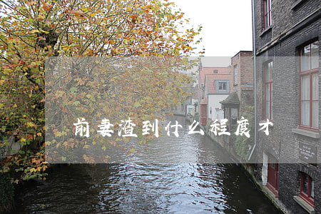 前妻渣到什么程度才會離婚