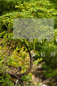 前妻的信用卡逾期我有责任还吗-离婚了前妻信用卡逾期了和自己有关系吗?