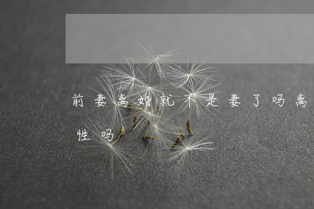 前妻离婚就不是妻了吗(离婚后还会和前妻有性吗)
