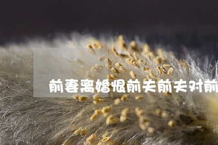 前妻离婚恨前夫(前夫对前妻充满仇恨)