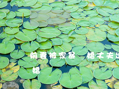 前妻被家暴離婚(丈夫出軌還家暴妻子起訴離婚)