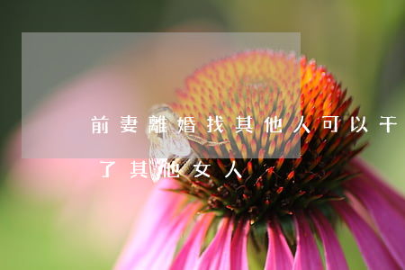 前妻離婚找其他人可以干涉嗎(剛離婚前夫找了其他女人)