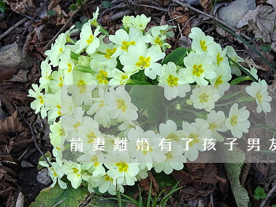 前妻離婚有了孩子(男友離異有孩子跟前妻)