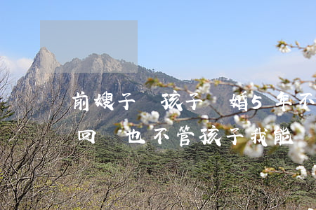 前嫂子帶孩子離婚5年不走(老婆離家出走不回來也不管孩子我能離婚嗎)