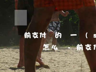 前支付寶的錢一時(shí)無(wú)力償還怎么辦-前支付寶的錢一時(shí)無(wú)力償還怎么辦呢