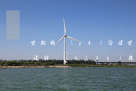 前期物業(yè)管理(前期物業(yè)管理招標(biāo)投標(biāo)管理暫行辦法)