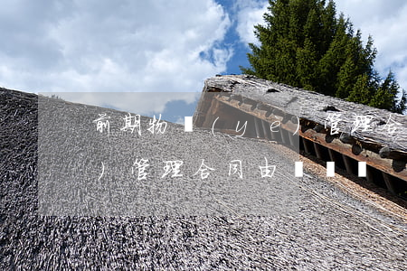 前期物業(yè)管理合同(前期物業(yè)管理合同由誰簽訂)