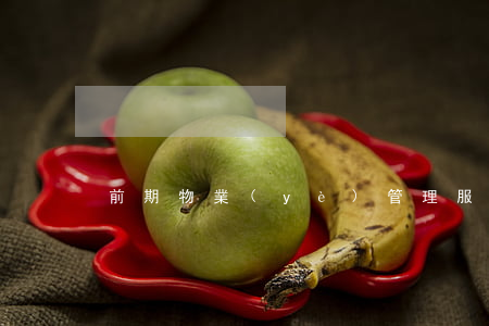 前期物業(yè)管理服務(wù)合同