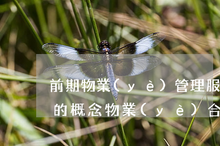 前期物業(yè)管理服務協(xié)議的概念（物業(yè)合同是屬于什么合同類型）