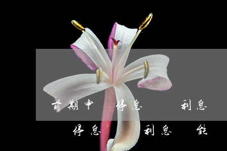 前期申請停息掛賬利息還能減免嗎-前期申請停息掛賬利息還能減免嗎知乎