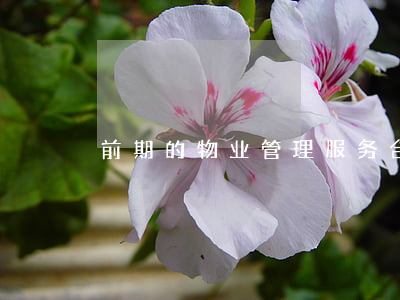 前期的物业管理服务合同样本