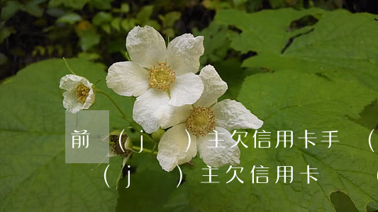 前機(jī)主欠信用卡(手機(jī)卡前機(jī)主欠信用卡錢,現(xiàn)在用這個號碼會有影響嗎)